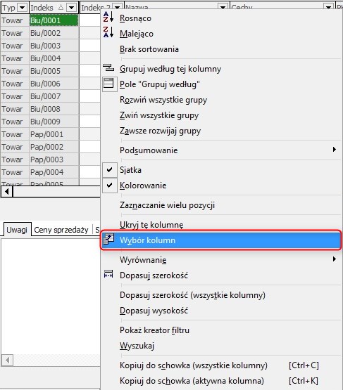 symf_kolumnywidok03.jpg